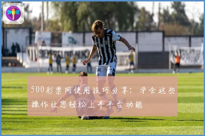 500彩票网使用技巧分享：学会这些操作让您轻松上手平台功能