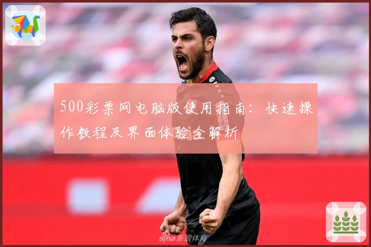 500彩票网电脑版使用指南：快速操作教程及界面体验全解析